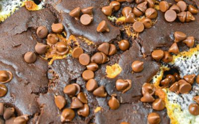 Chocolate Earthquake Cake Recipe