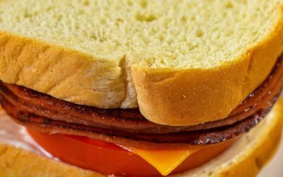 Fried Bologna Sandwich Recipe